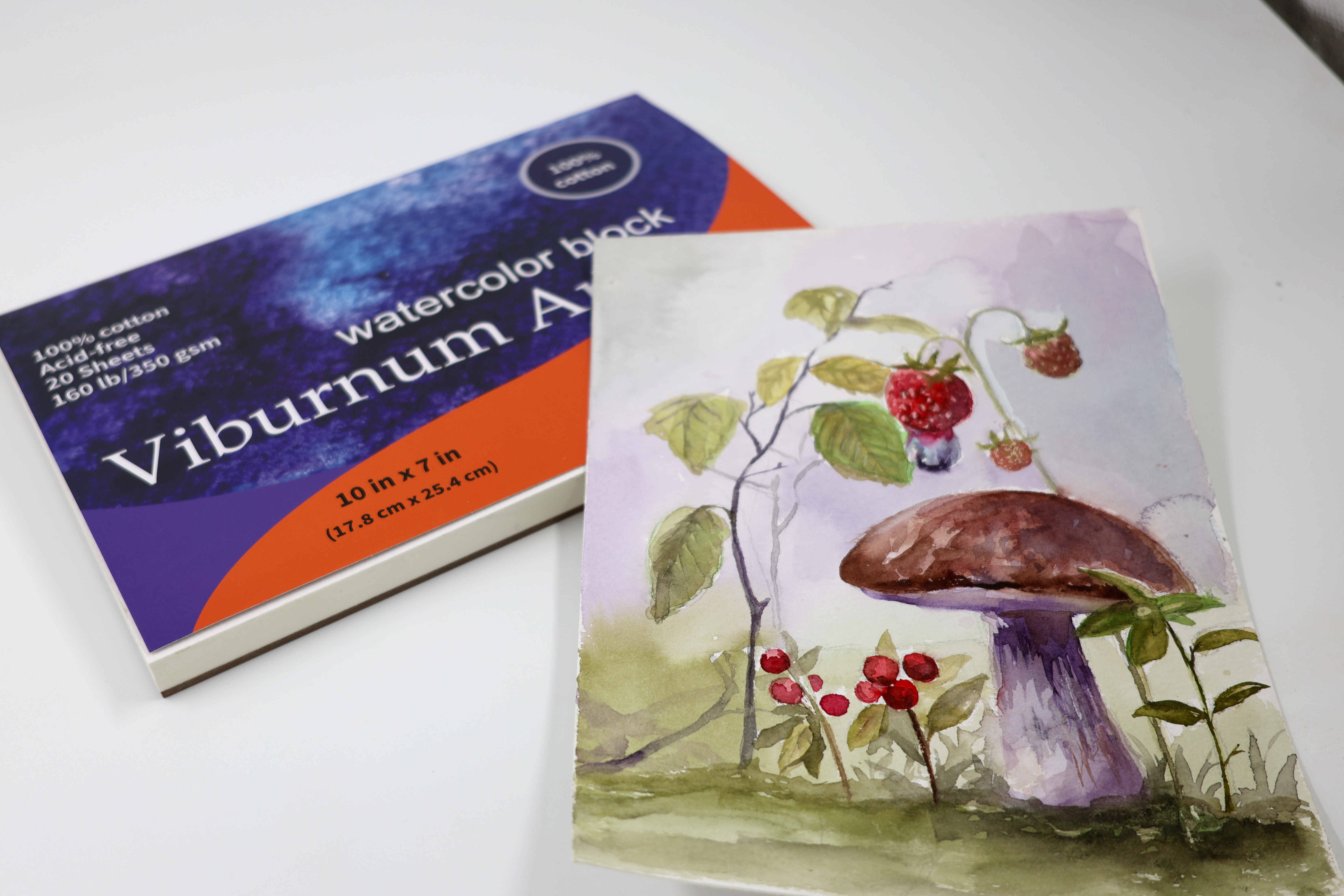 a watercolor block 10 in by 7 in with a painting of a mushrooms and strawberries.